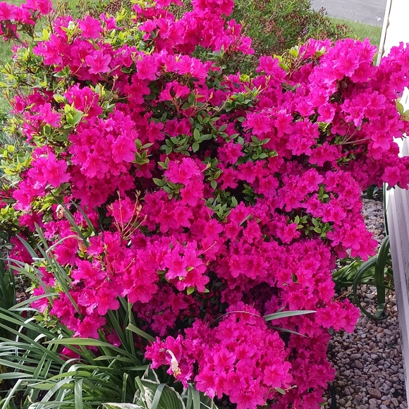 Welcome to my closet - Picture 2 of 4